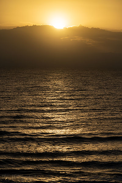 Good Morning From Pawley Island, SC