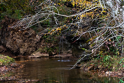 The Creek at Vinson Farms
