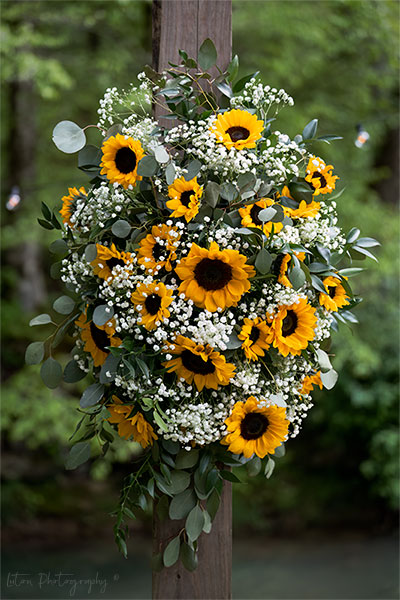 Sunflowers & Babies Breath