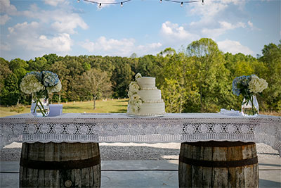 Adrienne's Wedding Cake