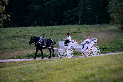 Here Comes The Bride