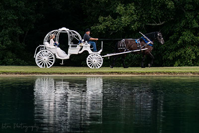Anticipation Riding Across The Dam