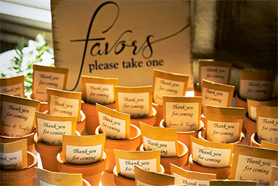 Potted Favors