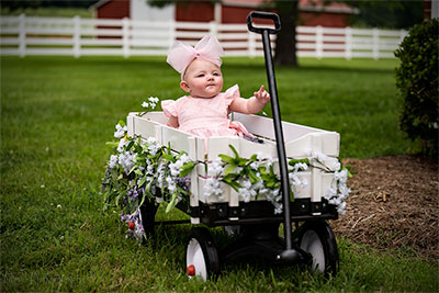 Excuse Me, But We Must Be Going Now