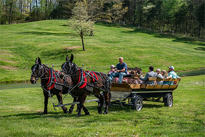 Delivering The Guest