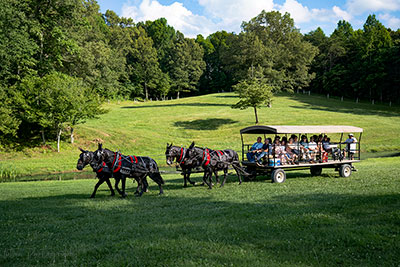 The Ultimate In Guest Tranportation