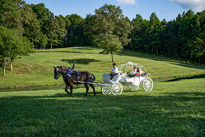 Here Comes The Bride