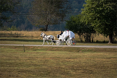 Country Brides Know How To Ride