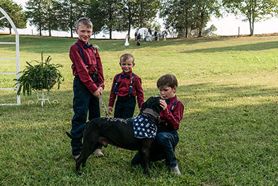 Ring Bearer, Good Boy